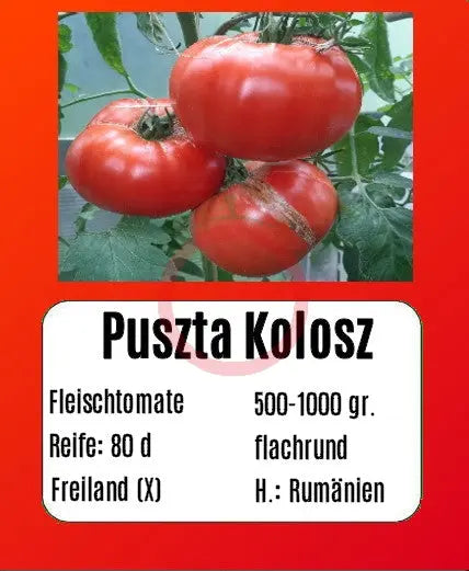 Puszta Kolosz DER TOMATENFLÜSTERER