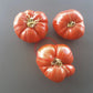 Puszta Kolosz DER TOMATENFLÜSTERER