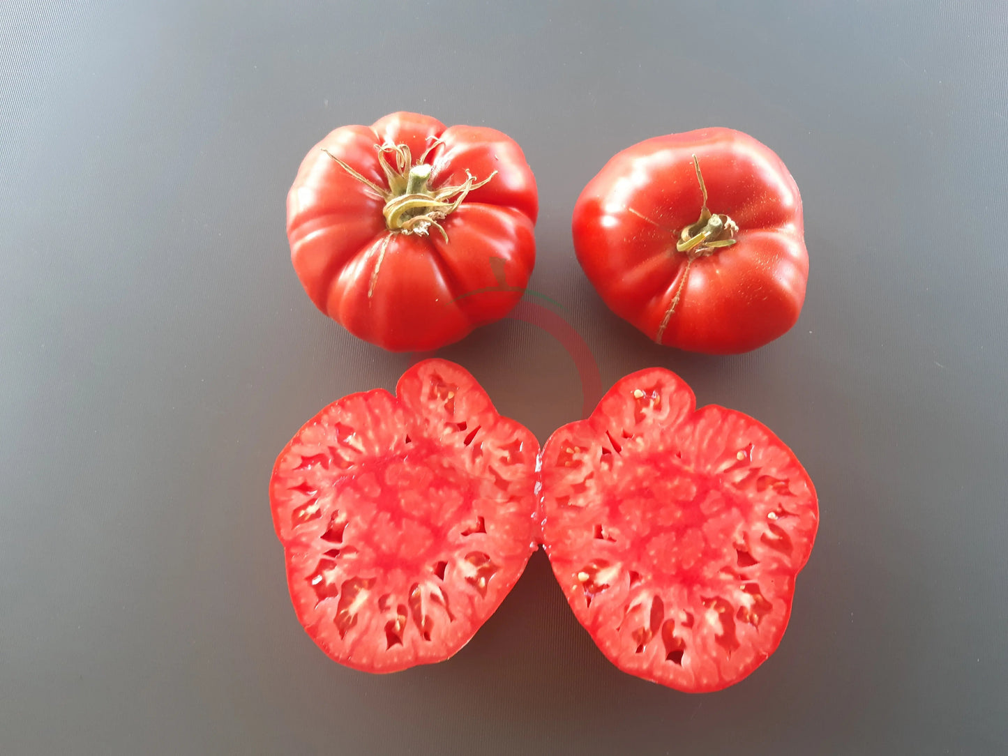 Puszta Kolosz DER TOMATENFLÜSTERER