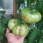 Puszta Kolosz DER TOMATENFLÜSTERER