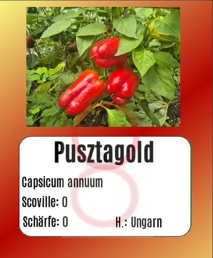 Pusztagold DER TOMATENFLÜSTERER