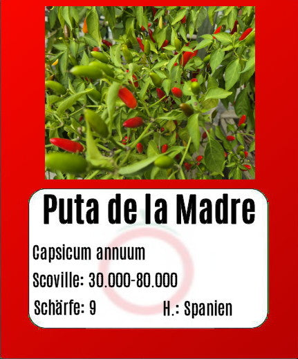 Puta de la Madre DER TOMATENFLÜSTERER
