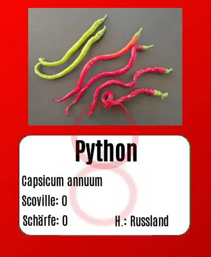 Python DER TOMATENFLÜSTERER