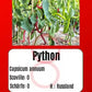 Python DER TOMATENFLÜSTERER