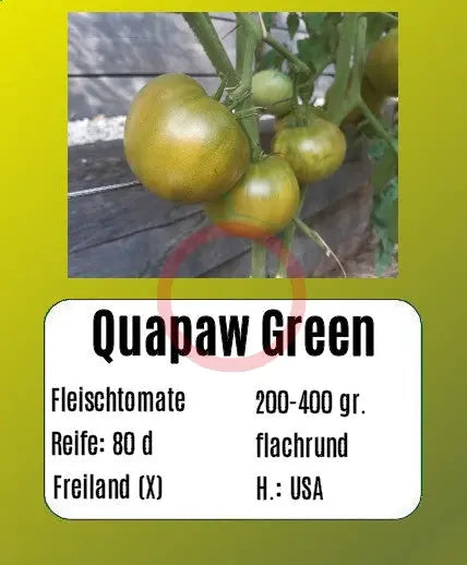 Quapaw Green DER TOMATENFLÜSTERER