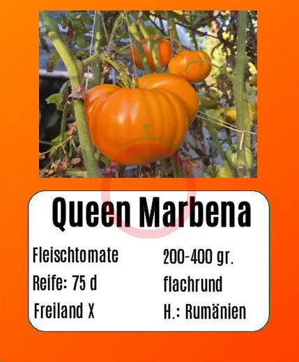 Queen Marbena DER TOMATENFLÜSTERER