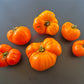 Queen Marbena DER TOMATENFLÜSTERER