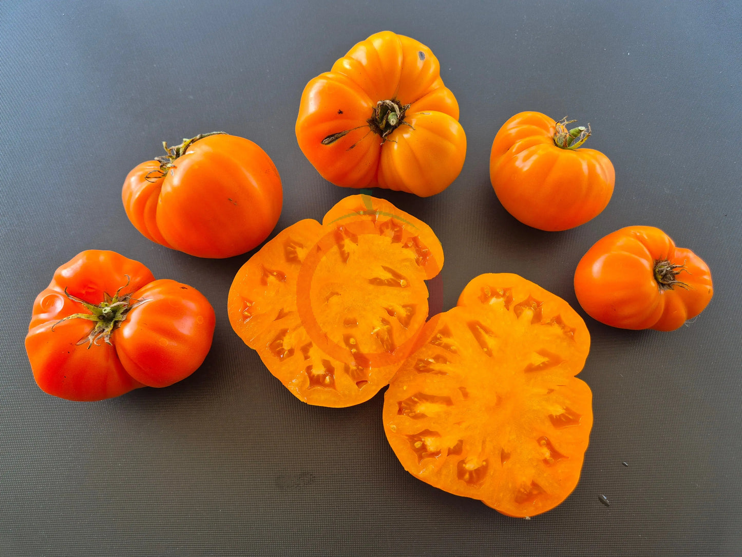 Queen Marbena DER TOMATENFLÜSTERER