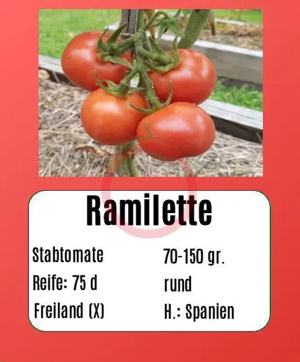 Ramilette DER TOMATENFLÜSTERER