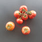 Ramilette DER TOMATENFLÜSTERER
