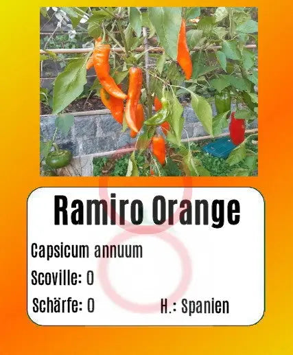 Ramiro Orange DER TOMATENFLÜSTERER