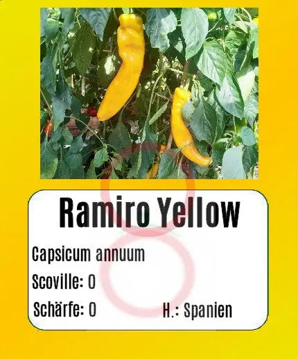 Ramiro Yellow DER TOMATENFLÜSTERER