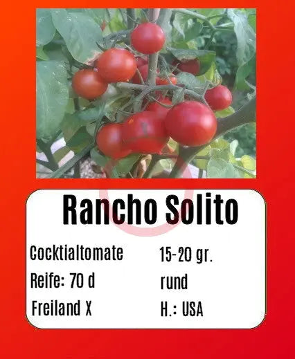 Rancho Solito DER TOMATENFLÜSTERER