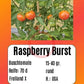 Raspberry Burst DER TOMATENFLÜSTERER