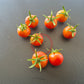 Raspberry Burst DER TOMATENFLÜSTERER