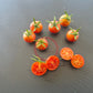 Raspberry Burst DER TOMATENFLÜSTERER