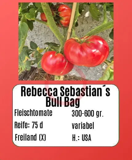 Rebecca Sebastian´s Bull Bag DER TOMATENFLÜSTERER