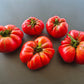 Rebecca Sebastian´s Bull Bag DER TOMATENFLÜSTERER
