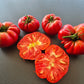 Rebecca Sebastian´s Bull Bag DER TOMATENFLÜSTERER