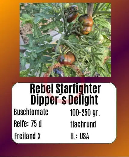 Rebel Starfighter Dipper´s Delight DER TOMATENFLÜSTERER