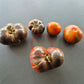 Rebel Starfighter Dipper´s Delight DER TOMATENFLÜSTERER