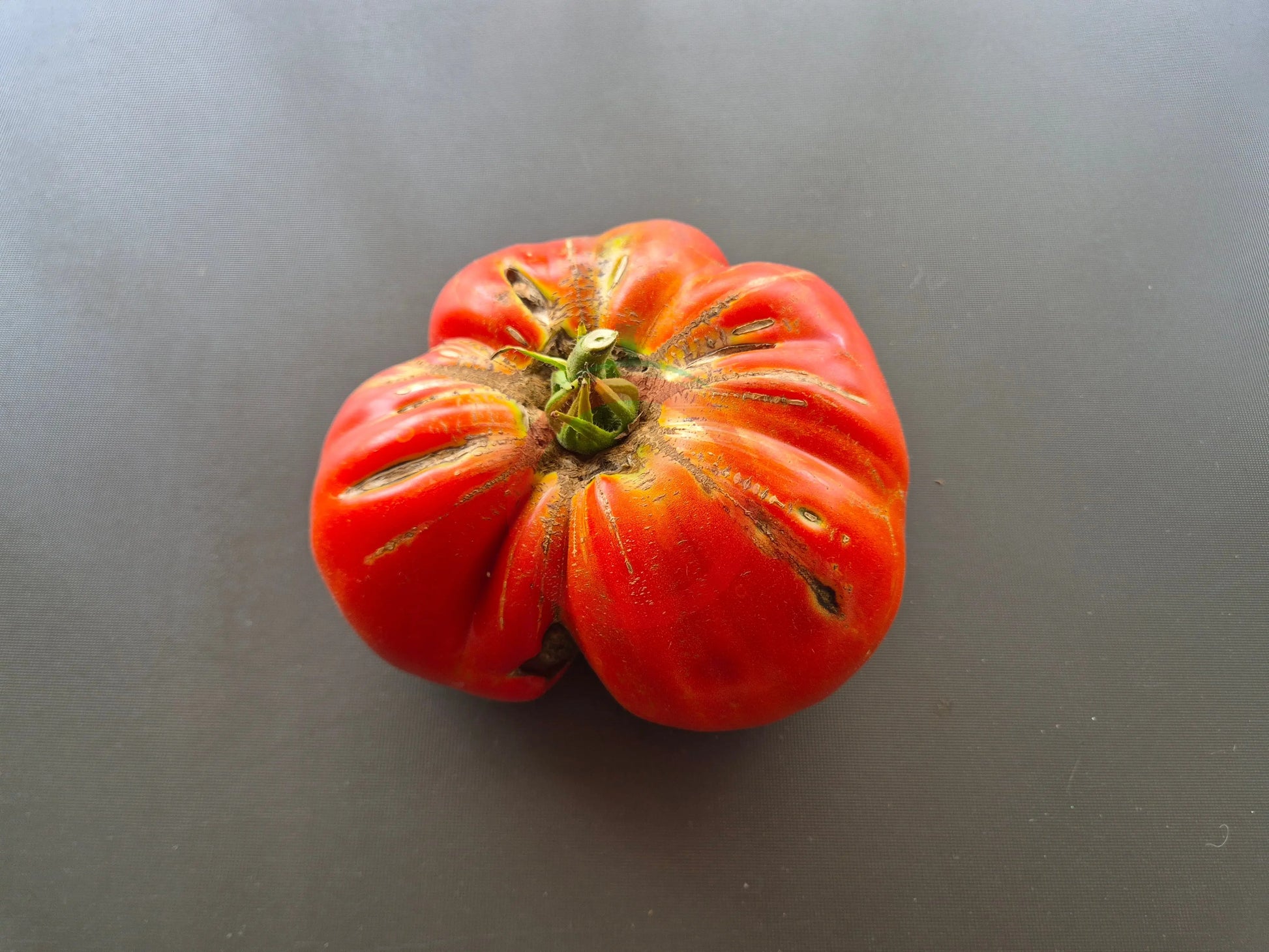 Red Barn DER TOMATENFLÜSTERER