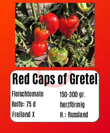 Red Caps of Gretel DER TOMATENFLÜSTERER