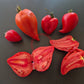 Red Caps of Gretel DER TOMATENFLÜSTERER