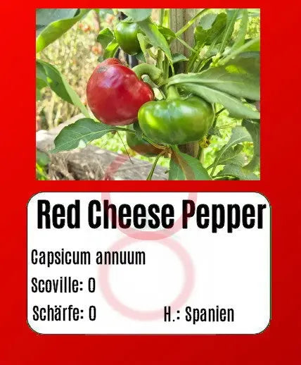 Red Cheese Pepper DER TOMATENFLÜSTERER