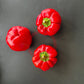 Red Cheese Pepper DER TOMATENFLÜSTERER