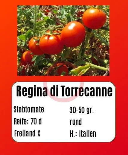 Regina di Torrecanne DER TOMATENFLÜSTERER