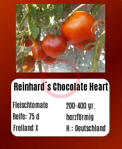 Reinhard´s Chocolate Heart DER TOMATENFLÜSTERER