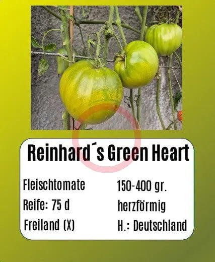 Reinhard´s Green Heart DER TOMATENFLÜSTERER