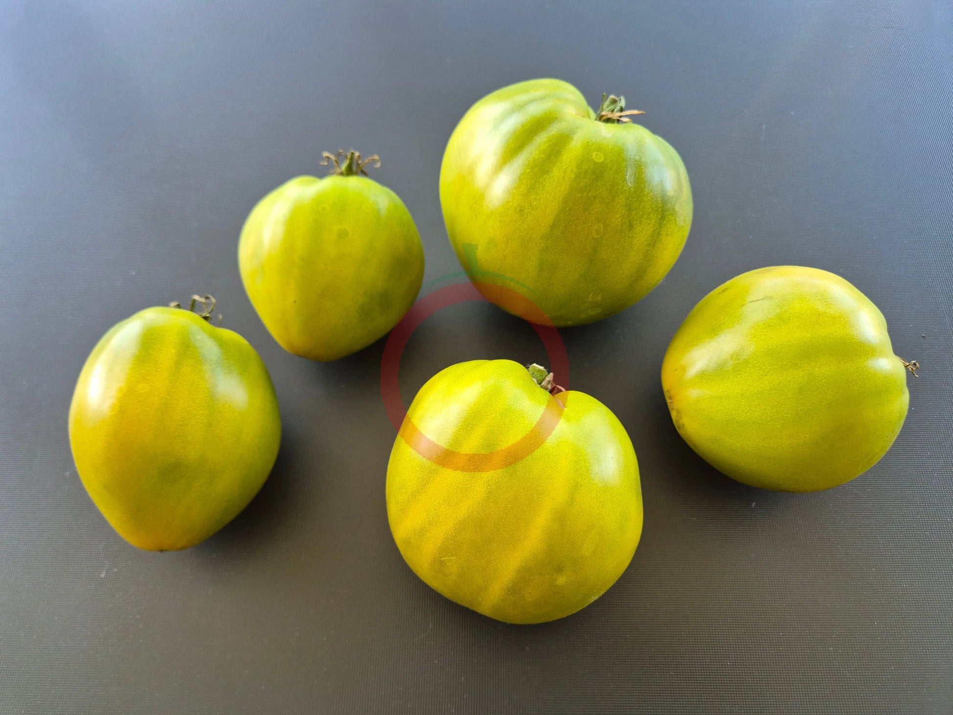 Reinhard´s Green Heart DER TOMATENFLÜSTERER