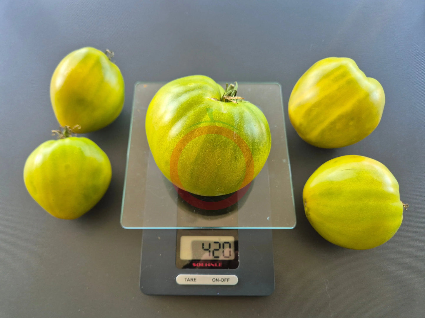 Reinhard´s Green Heart DER TOMATENFLÜSTERER