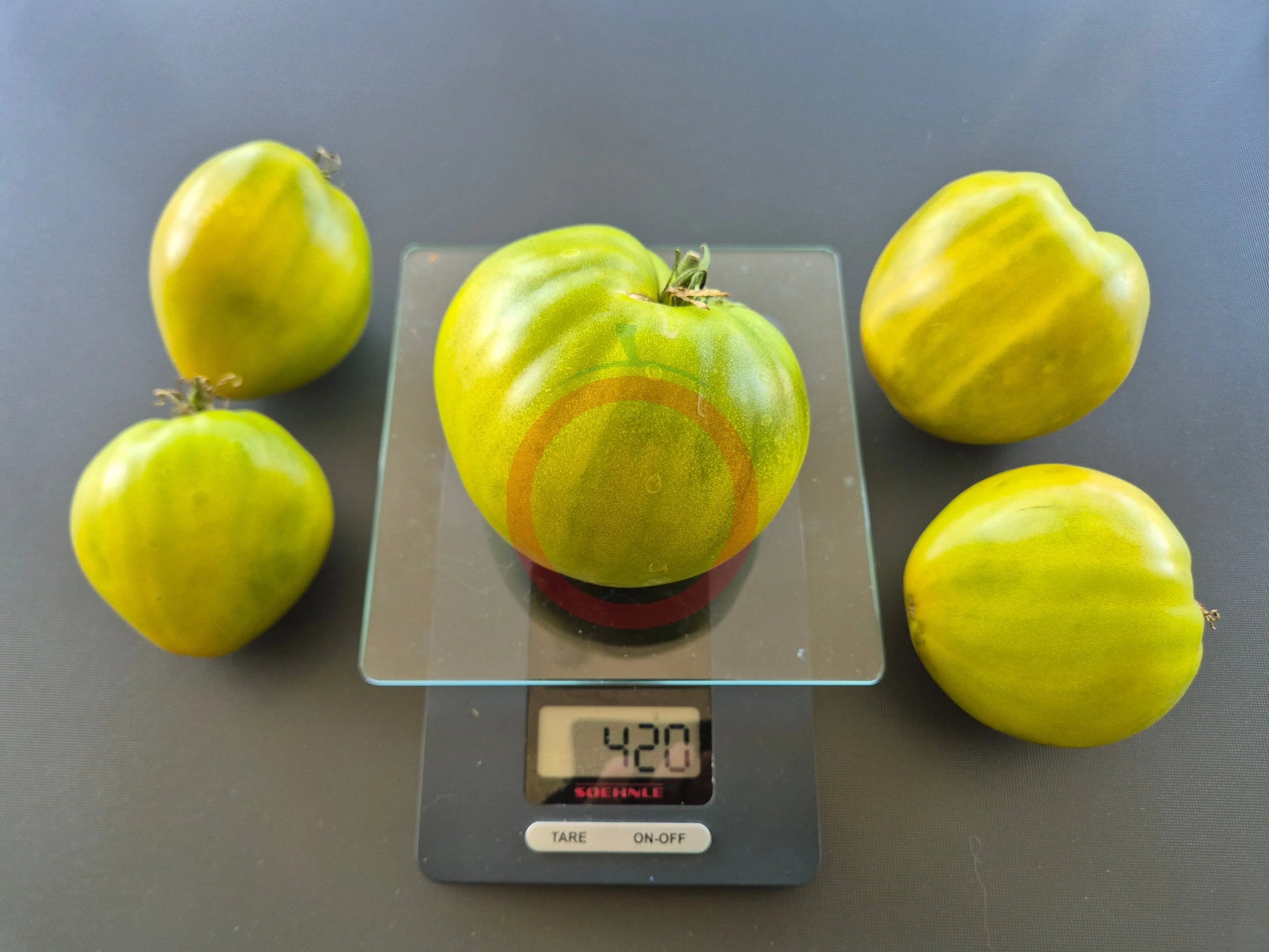 Reinhard´s Green Heart DER TOMATENFLÜSTERER