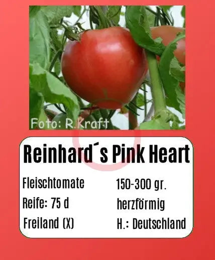 Reinhard´s Pink Heart DER TOMATENFLÜSTERER