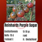 Reinhard´s Purple Sugar DER TOMATENFLÜSTERER