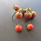 Reinhard´s Purple Sugar DER TOMATENFLÜSTERER