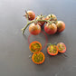 Reinhard´s Purple Sugar DER TOMATENFLÜSTERER