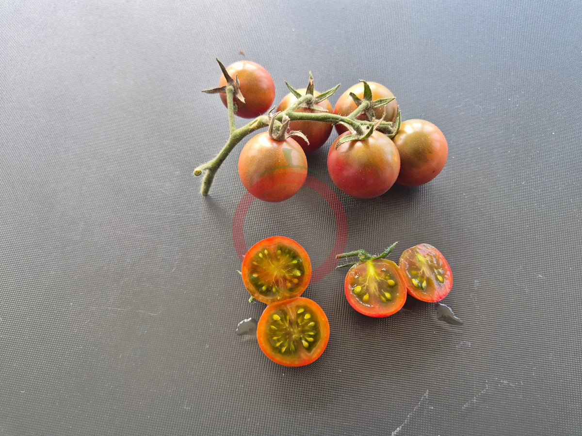 Reinhard´s Purple Sugar DER TOMATENFLÜSTERER
