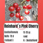 Reinhards Pink Cherry DER TOMATENFLÜSTERER