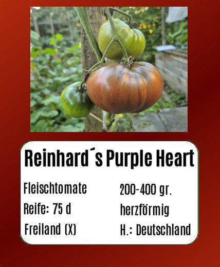 Reinhards Purple Heart DER TOMATENFLÜSTERER