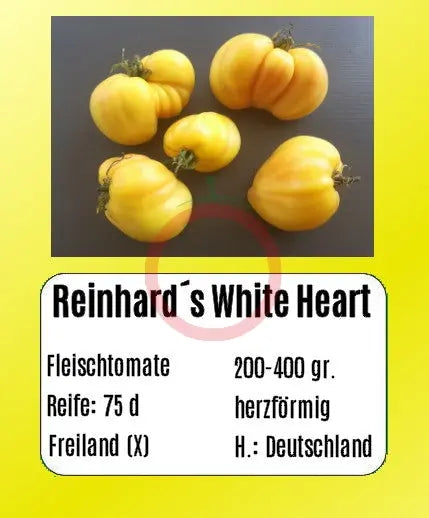 Reinhards White Heart DER TOMATENFLÜSTERER