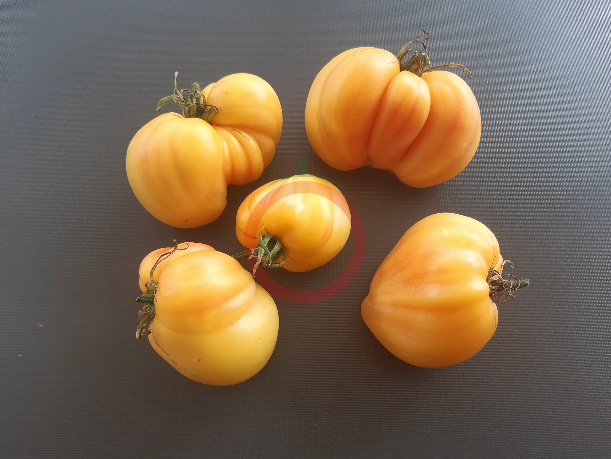 Reinhards White Heart DER TOMATENFLÜSTERER