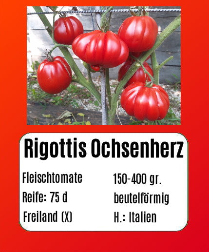 Rigotti´s Ochsenherz DER TOMATENFLÜSTERER