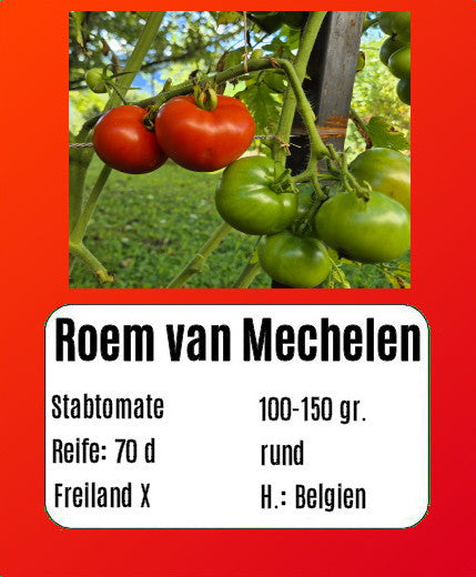 Roem van Mechelen DER TOMATENFLÜSTERER