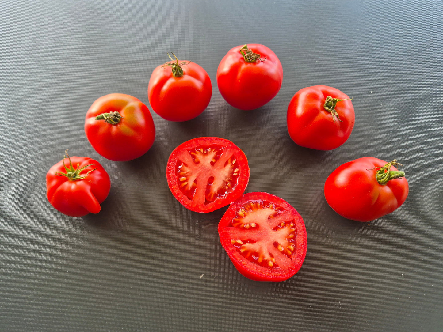 Roem van Mechelen DER TOMATENFLÜSTERER