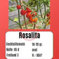 Rosalita DER TOMATENFLÜSTERER