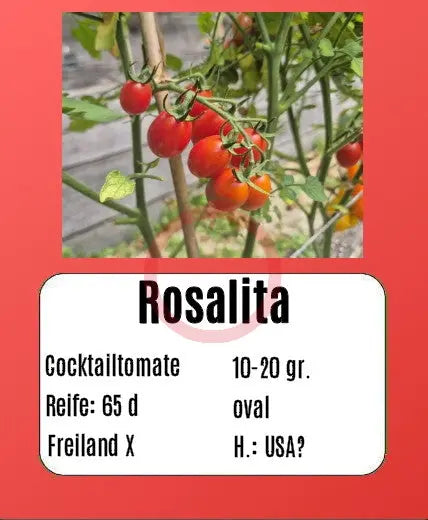 Rosalita DER TOMATENFLÜSTERER